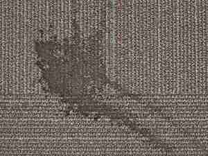  Bay Shore Cleaning & Restoration